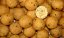 Boilies Instinct 100 g - Boilies druh:: Med