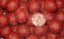 Boilies Instinct 800gr - Boilies druh:: Rudá oliheň