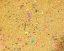 Method feeder mix 1,8kg s fluo peletkami - Druh:: Scopex